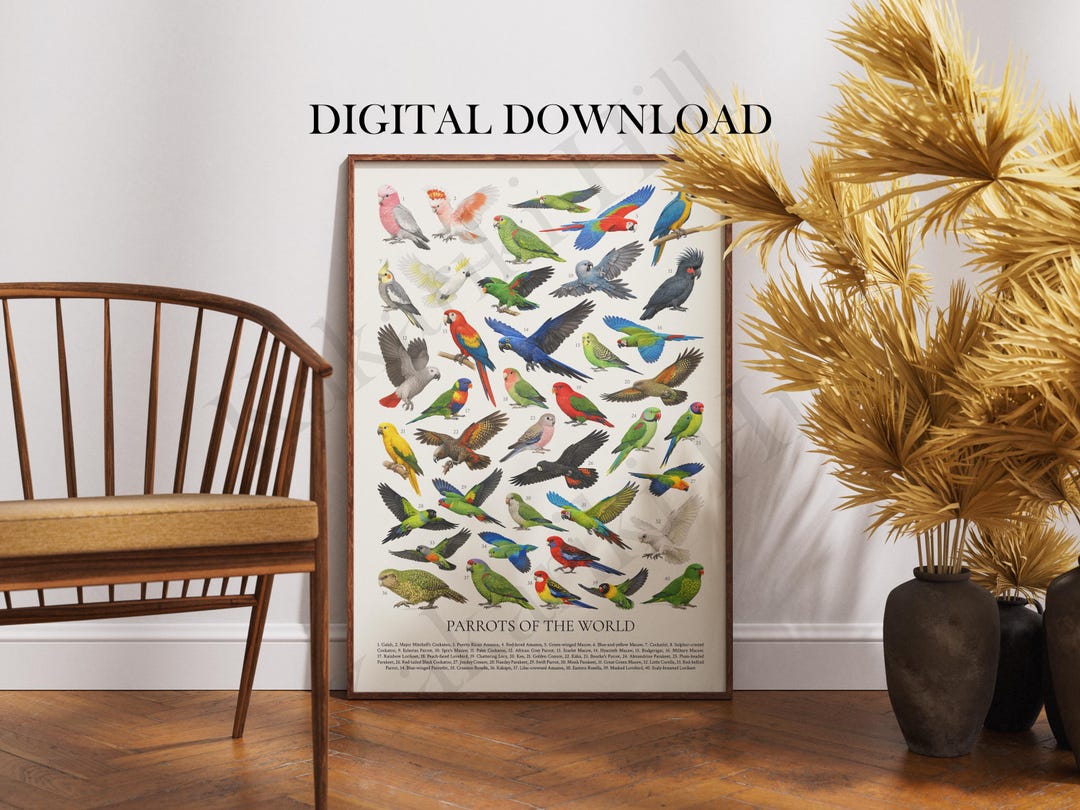 Parrots of the World Digital Download: Retro Psittaciformes