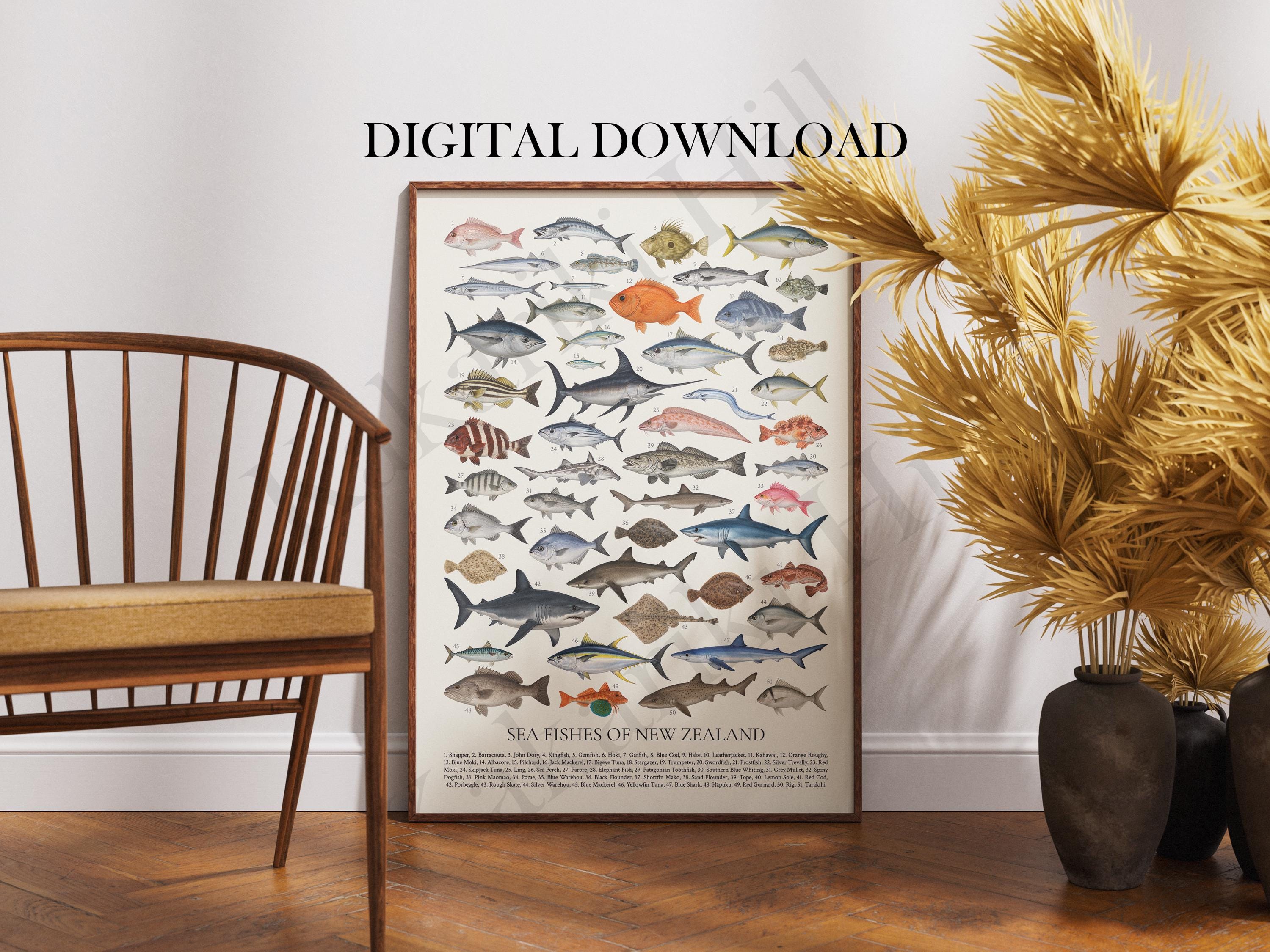 Sea Fishes of New Zealand Poster Digital Download: Retro Style