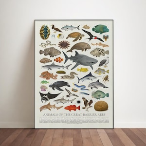 Detailed illustration poster titled “Animals of the Great Barrier Reef” featuring a variety of marine life including sea turtles, reef sharks, clownfish, manta rays, octopus, dolphins, and colorful tropical fish. Arranged in a vintage natural history chart style on a neutral background, this ocean animals artwork highlights coral reef biodiversity and serves as educational marine biology wall art for coastal decor lovers.
