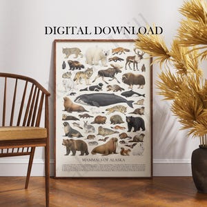 May include: A framed poster titled "Mammals of Alaska" featuring illustrations of various Alaskan mammals, including a polar bear, moose, and whale. The words "DIGITAL DOWNLOAD" are printed at the top. The poster is displayed near a wooden chair and decorative vase.