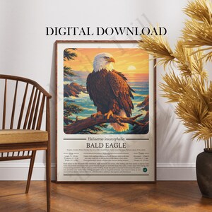 Bald Eagle Poster Digital Download: Educational Wildlife Infographic