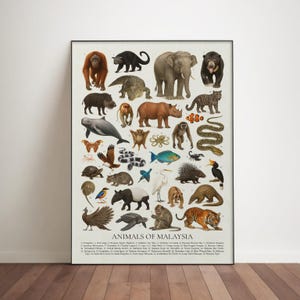 Puede incluir: Un póster enmarcado titulado "Animales de Malasia" con ilustraciones de varios animales nativos de Malasia. El póster incluye imágenes de un orangután, un elefante, un tigre y un rinoceronte, entre otros. El póster se exhibe sobre un suelo de madera.