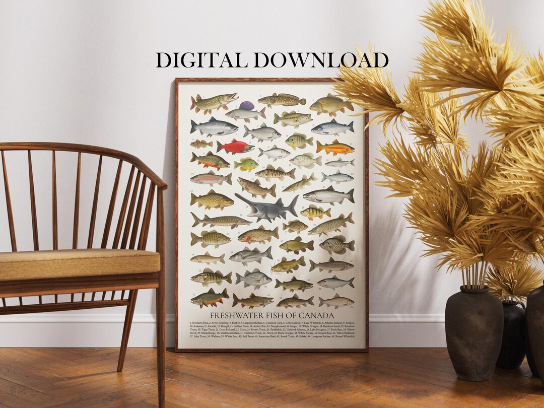 Canadian Fish Chart Freshwater Fish of Canada Poster Digital Download: Retro Wildlife ...