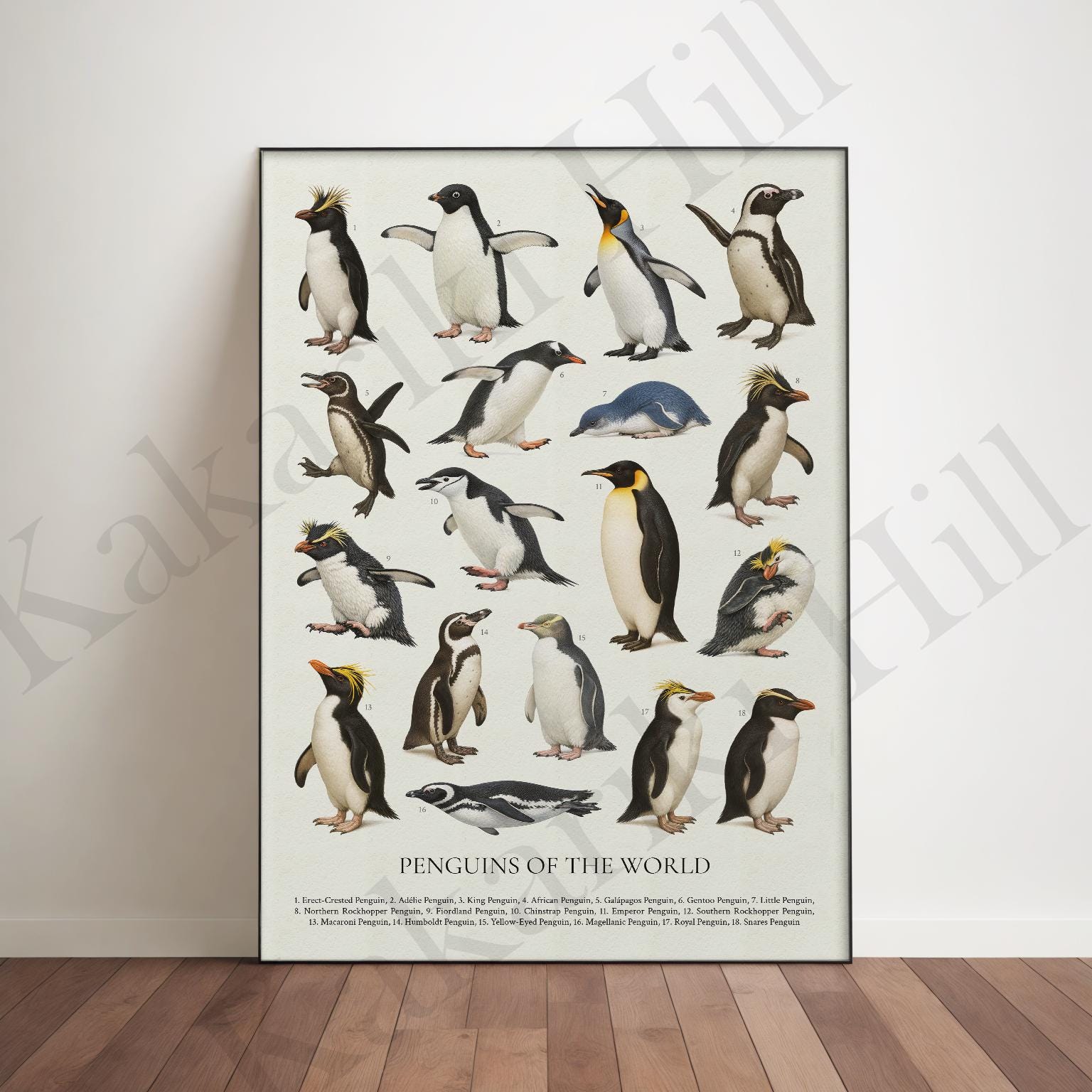 世界のペンギン：レトロスタイルの動物識別チャート - Etsy 日本