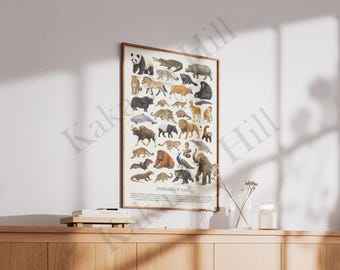 アジアの動物たち：レトロな動物識別チャート - Etsy 日本
