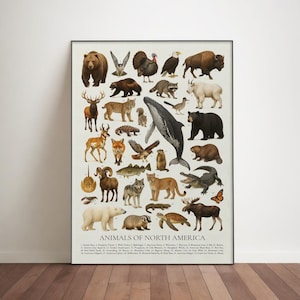 Póster de animales de Norteamérica: Ilustración retro de animales, impresión educativa