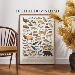 Poster Animaux du Kentucky en téléchargement numérique : carte d'identification de style rétro