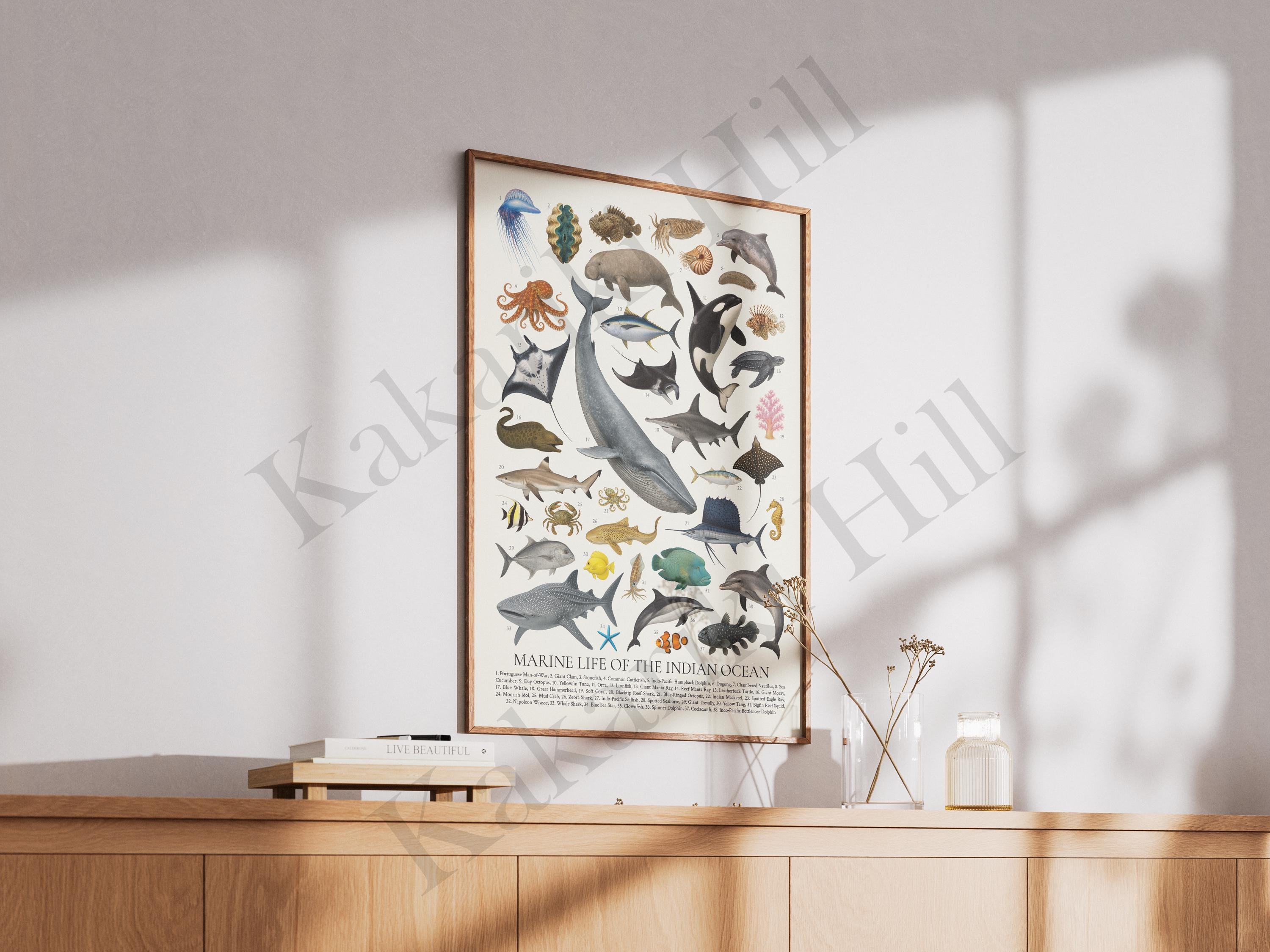 インド洋の海洋生物ポスター：レトロな野生生物識別チャート - Etsy 日本