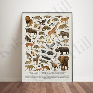 May include: A vertical educational poster titled ANIMALS OF THE KALAHARI DESERT featuring a detailed collection of various wildlife illustrations, including a lion, giraffe, elephant, and rhinoceros, each labeled with a corresponding number.