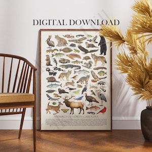 May include: A rectangular wall poster titled ANIMALS OF NORTH CAROLINA featuring a detailed grid of various wildlife illustrations including mammals, birds, fish, and insects, with a numbered legend at the bottom and the text DIGITAL DOWNLOAD above.