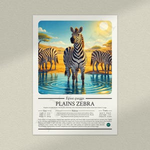 Plains Zebra Poster: Educational Wildlife Infographic Fact File