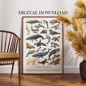 May include: A framed print titled "Marine Mammals" featuring illustrations of various marine animals, including whales, dolphins, and seals. The print has a vintage aesthetic with a cream-colored background and a dark brown frame. The text "DIGITAL DOWNLOAD" is at the top.