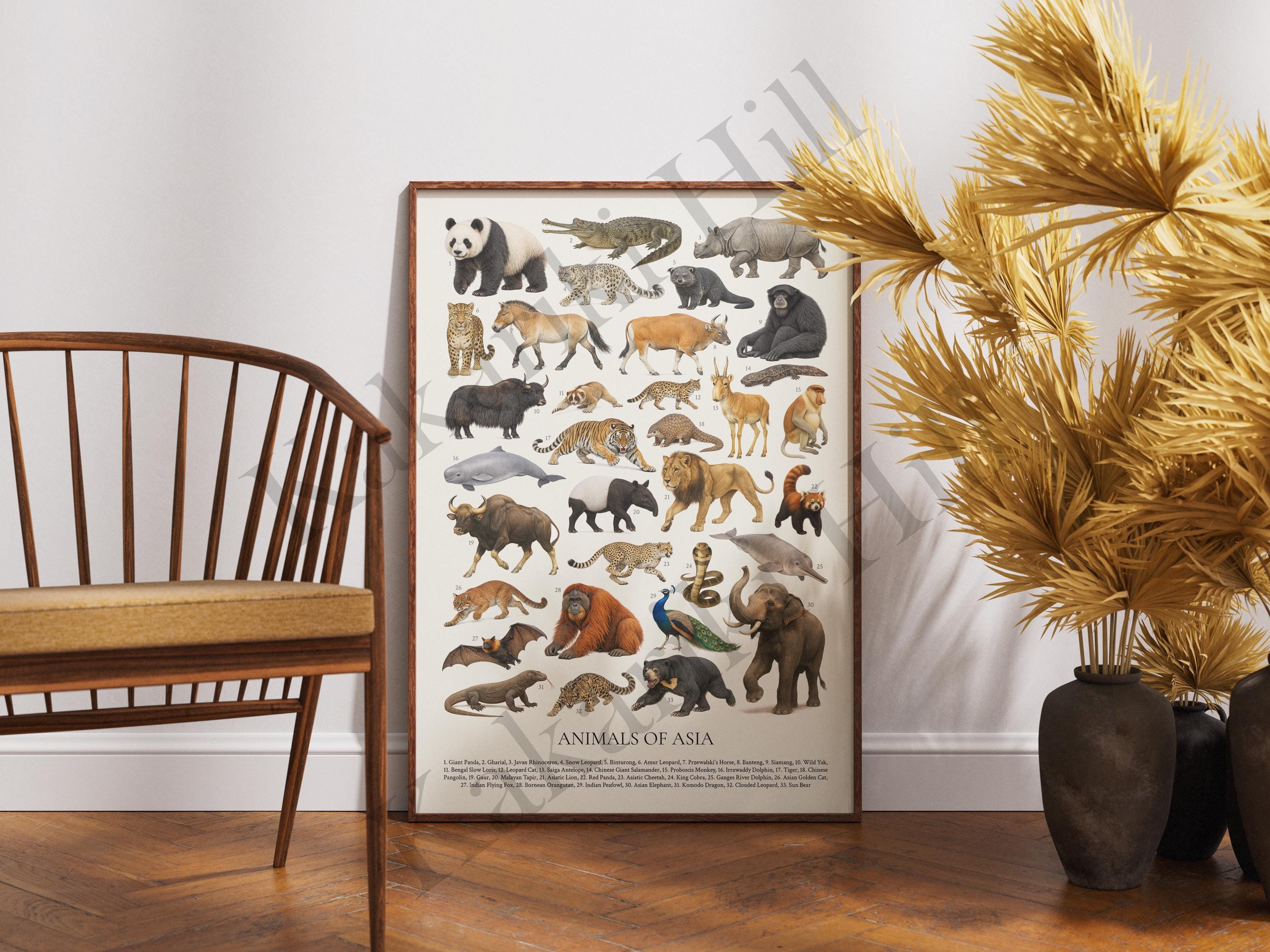 アジアの動物たち：レトロな動物識別チャート - Etsy 日本