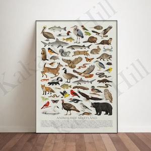 May include: A vertical poster titled ANIMALS OF MARYLAND featuring a detailed collection of various wildlife illustrations, including birds, mammals, fish, and reptiles, each numbered and identified in a list at the bottom of the white background.