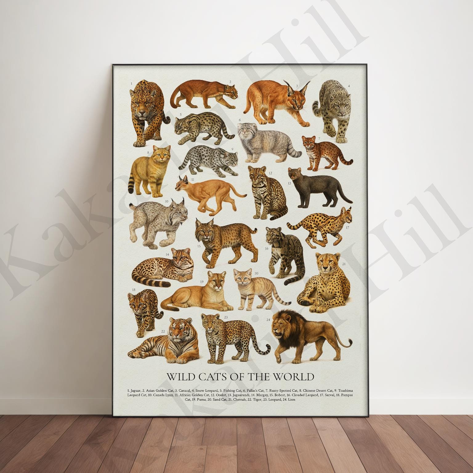 Wild Cats of the World Poster: Retro Animal Identification Chart