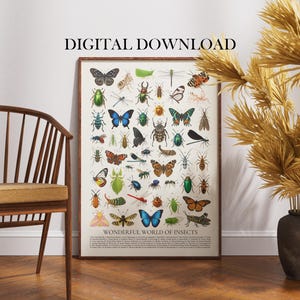 Może przedstawiać: Oprawiony cyfrowy wydruk z szczegółową ilustracją różnych owadów, w tym motyli, chrząszczy i ważek. Wydruk oznaczony jest jako "WONDERFUL WORLD OF INSECTS" i jest eksponowany w pokoju z drewnianym krzesłem i dekoracyjnym wazonem.