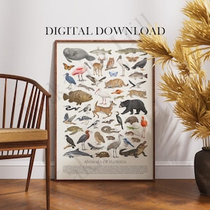 Animals of Kansas Poster Digital Download: Retro Style