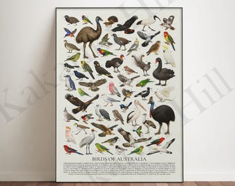 オーストラリアの鳥類：レトロスタイルの鳥類識別チャート - Etsy 日本