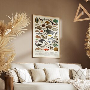 Op de afbeelding: Een ingelijste poster getiteld "ANIMALS OF THE GREAT BARRIER REEF" toont kleurrijke illustraties van verschillende zeedieren. De poster hangt boven een cr&egrave;mekleurige bank met sierkussens en een deken. De kamer is gedecoreerd met gedroogde planten.