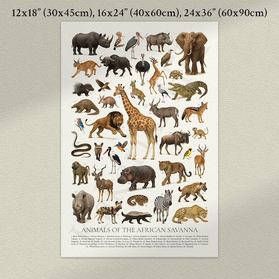 Animals of the African Savanna Poster: Retro Identification Chart