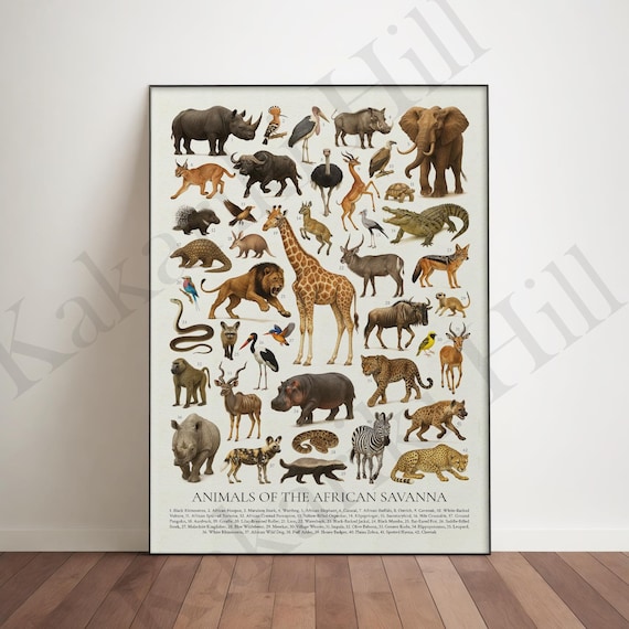 アフリカのサバンナの動物ポスター：レトロな識別チャート - Etsy 日本