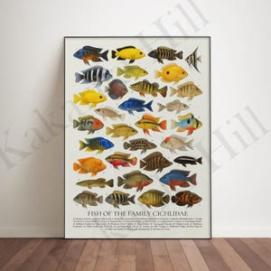 May include: A vertical poster titled FISH OF THE FAMILY CICHLIDAE featuring a detailed scientific illustration of thirty-seven distinct cichlid fish species arranged in rows, each numbered and labeled with its common name in black text.