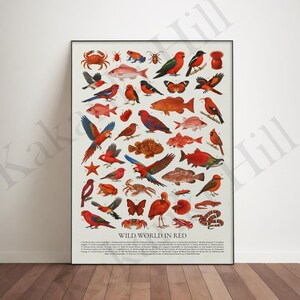 Wild World in Red Poster: Educational Animal Wildlife Identification Chart
