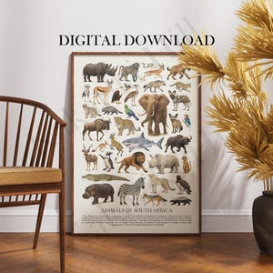 May include: A rectangular poster featuring a collection of illustrated animals native to South Africa, including a rhinoceros, elephant, lion, and zebra, with the text "ANIMALS OF SOUTH AFRICA" and a numbered list of species at the bottom.