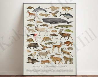 Animals of Northern Africa Poster: Retro Style Animal Wildlife