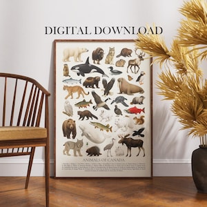Könnte beinhalten: Ein gerahmtes Poster mit dem Titel "Animals of Canada" mit Illustrationen verschiedener kanadischer Wildtiere, darunter ein Eisbär, ein Orca und ein Elch. Die Worte "DIGITALER DOWNLOAD" sind oben aufgedruckt.