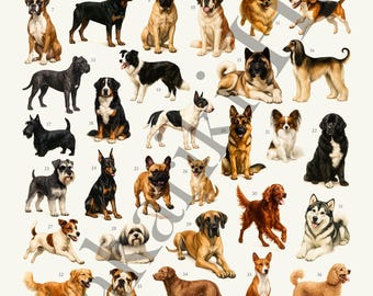 犬ページ 犬種ポスター（デジタルダウンロード）：レトロスタイルの動物識別
