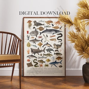 May include: A rectangular wall poster titled MARINE LIFE OF THE BRITISH ISLES featuring detailed illustrations of various sea creatures including sharks, seals, fish, and crustaceans, with a numbered legend at the bottom and text DIGITAL DOWNLOAD.