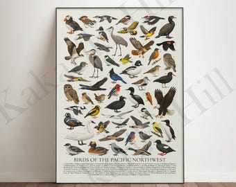 May include: A framed print featuring a detailed illustration of various bird species native to the Pacific Northwest. The artwork showcases a diverse collection of birds in different sizes and colors, with each bird labeled. The title "Birds of the Pacific Northwest" is displayed at the bottom.