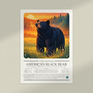 American Black Bear Poster: Educational Wildlife Infographic Fact File