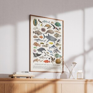 Op de afbeelding: Een ingelijste print met diverse zeedieren, waaronder haaien, vissen en schildpadden, tegen een witte achtergrond. De print is getiteld "Animals of the Great Barrier Reef" en staat op een houten kast.