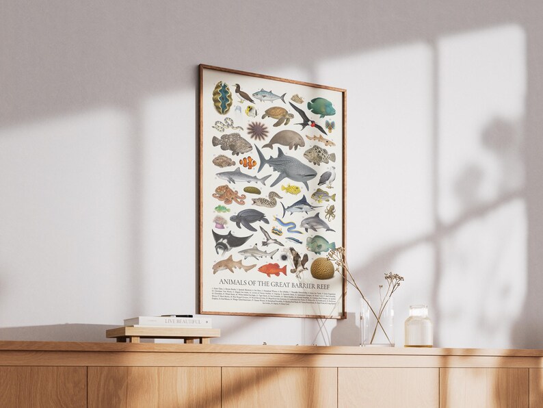 Op de afbeelding: Een ingelijste print met diverse zeedieren, waaronder haaien, vissen en schildpadden, tegen een witte achtergrond. De print is getiteld "Animals of the Great Barrier Reef" en staat op een houten kast.
