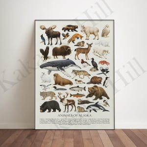 Djur från Alaskas poster: Pedagogiskt identifieringsdiagram för vilda djur