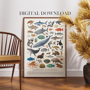 Może przedstawiać: Oprawiony plakat zatytułowany "Marine Life of Australia" z ilustracjami różnych zwierząt morskich, w tym rekinów, wielorybów i ryb. Plakat ma estetykę vintage, a u góry widnieje napis "DIGITAL DOWNLOAD".