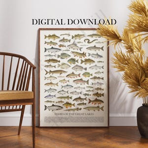 May include: A framed wall art print titled Fishes of the Great Lakes featuring a detailed scientific illustration of various fish species arranged in rows on a cream background with text at the top reading DIGITAL DOWNLOAD.