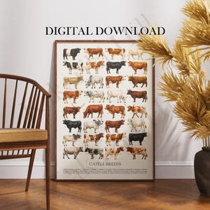 May include: A rectangular wall poster featuring a grid of various cattle breeds in shades of brown, black, white, and grey. The text DIGITAL DOWNLOAD appears at the top, and the title CATTLE BREEDS is printed at the bottom with a numbered list.