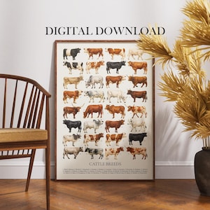 May include: A framed print displaying a detailed illustration of various cattle breeds. The artwork presents a grid of different cow types, each with unique color patterns. The text "DIGITAL DOWNLOAD" is at the top. The words "CATTLE BREEDS" are at the bottom.