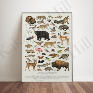 Può includere: Un poster incorniciato intitolato "Animals of Texas" con illustrazioni di animali del Texas. Il poster presenta una varietà di animali, tra cui uccelli, mammiferi, rettili e insetti, su uno sfondo neutro. Misure in centimetri.