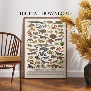Puede incluir: Un póster enmarcado titulado "Reptiles del Mundo" con ilustraciones de varios reptiles. El póster está en un marco de madera e incluye el texto "DESCARGA DIGITAL" en la parte superior. El póster está apoyado contra una pared blanca.