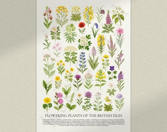 イギリス諸島の顕花植物ポスター：レトロな植物識別チャート - Etsy 日本