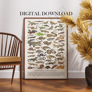 Könnte beinhalten: Ein gerahmter Kunstdruck mit dem Titel REPTILES OF AUSTRALIA, der eine detaillierte Sammlung verschiedener Eidechsen-, Schlangen-, Schildkröten- und Krokodilillustrationen in einem Raster mit nummerierter Legende zeigt.