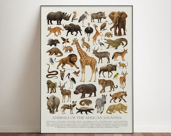 Poster Dieren van de Afrikaanse savanne: retro-identificatiekaart