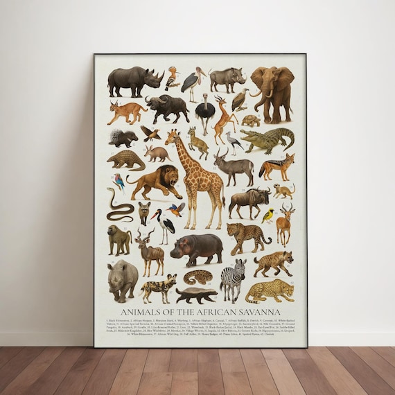 アフリカのサバンナの動物ポスター：レトロな識別チャート - Etsy 日本