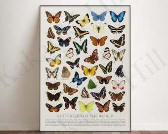 Könnte beinhalten: Ein vertikales Poster mit einem Raster verschiedener Schmetterlingsarten in Orange-, Blau-, Gelb-, Schwarz- und Weißtönen. Jeder Schmetterling ist nummeriert und der Text am unteren Rand lautet BUTTERFLIES OF THE WORLD, gefolgt von einer Namensliste.
