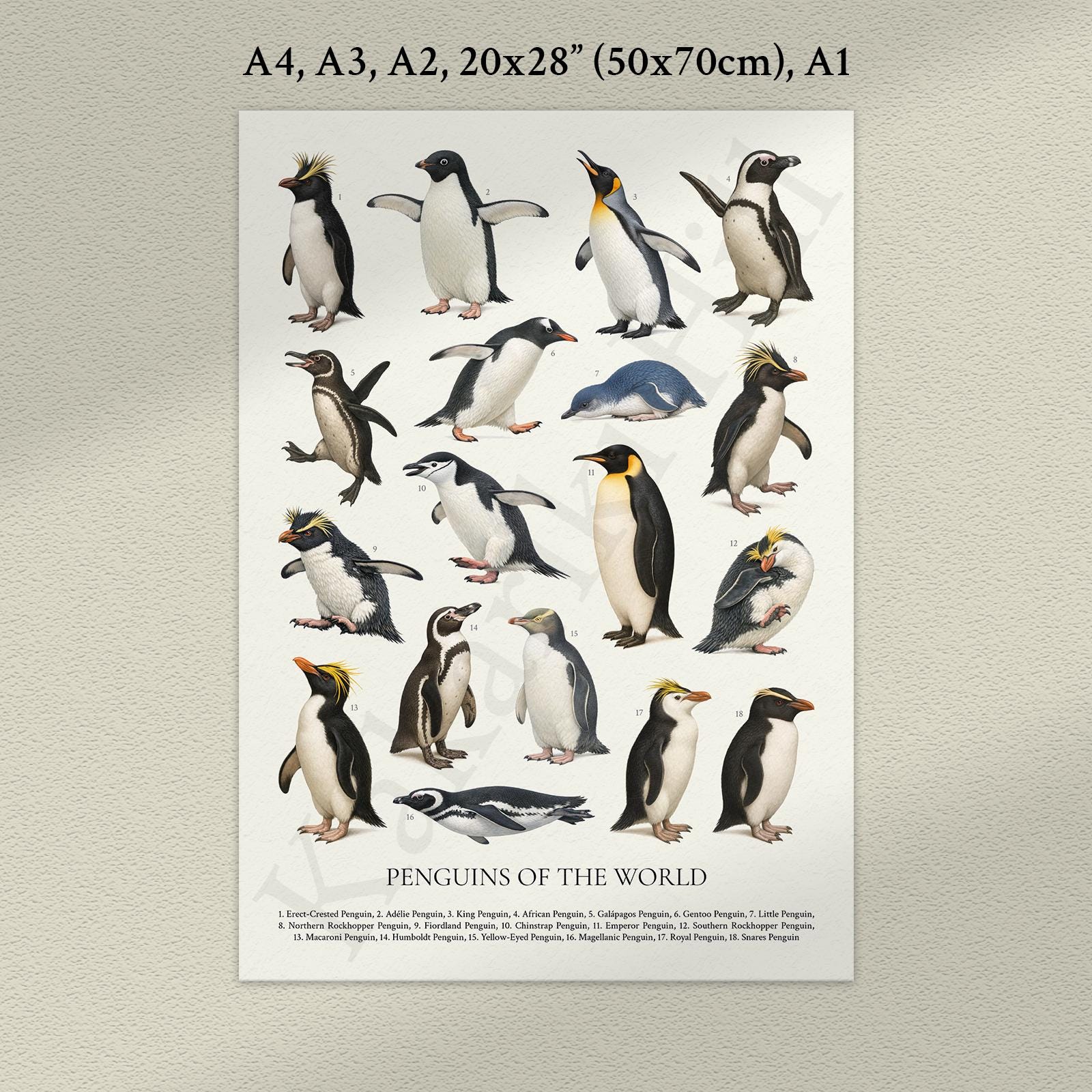飛べないペンギン il_fullxfull.8689156869_s6xm.jpg