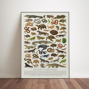 May include: A framed poster titled "Reptiles of the World" featuring a detailed illustration of various reptiles. The poster showcases a variety of species, including snakes, turtles, lizards, and crocodiles, in a vintage style.
